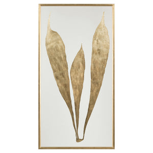 Modern Botany II | John-Richard - GBG-1295B