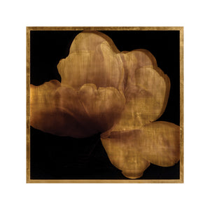 Mark McDowell's Kin Saki | John-Richard - GBG-2004