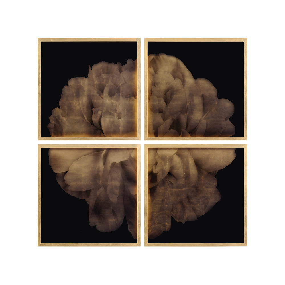 Mark McDowell's Shi Hana | John-Richard - GBG-2082S4