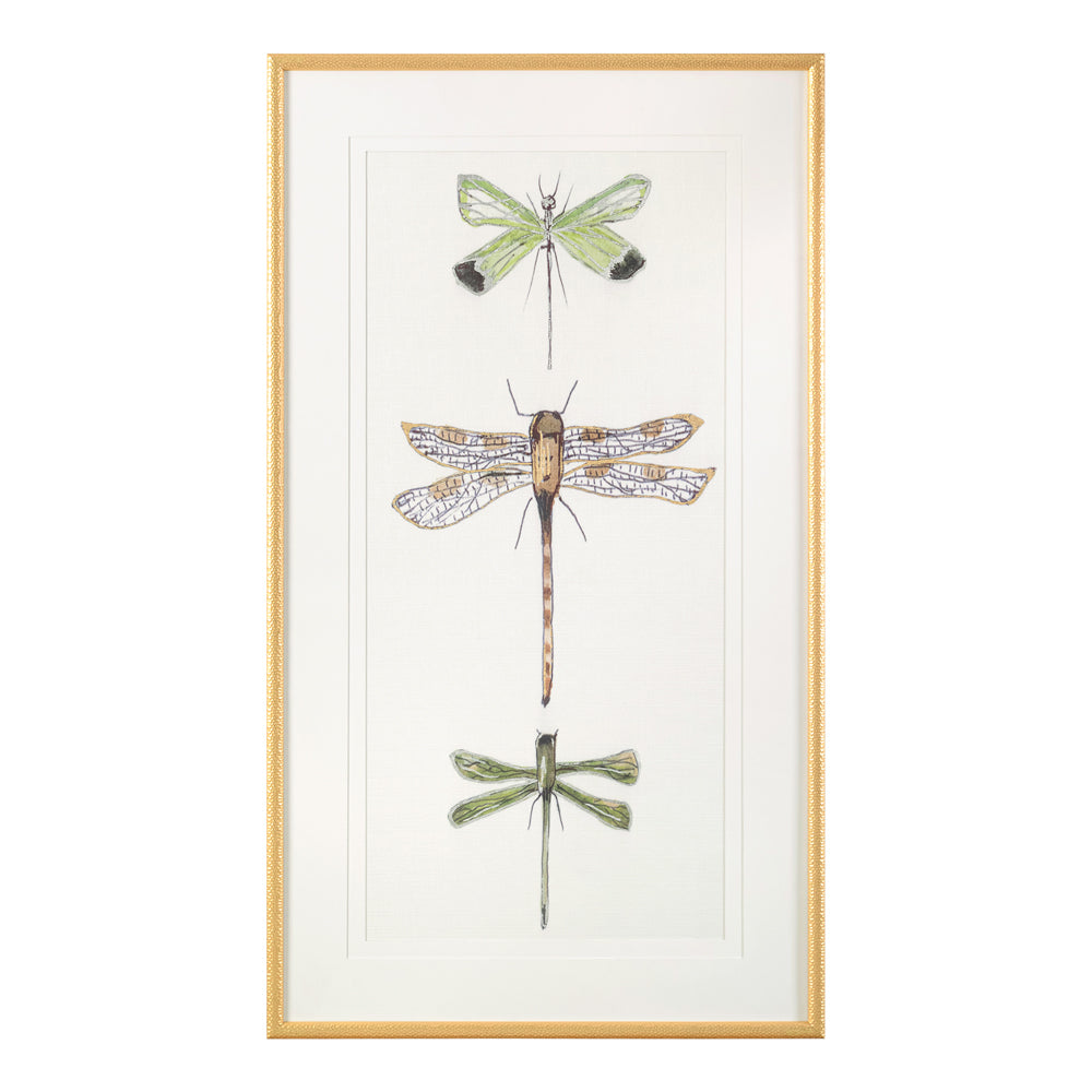 Joy Colangelo's Joyful Dragonflies I | John-Richard - GBG-2492A