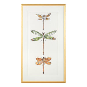 Joy Colangelo's Joyful Dragonflies II | John-Richard - GBG-2492B