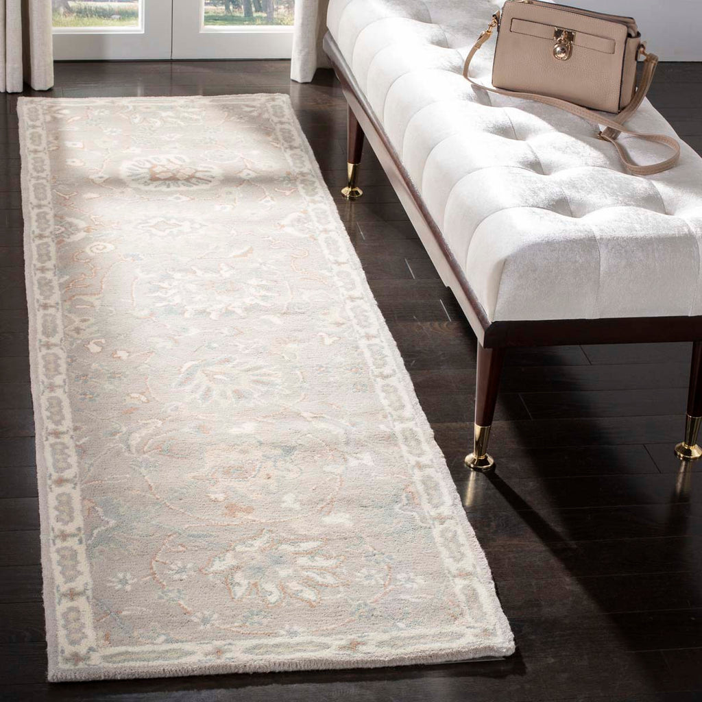 Safavieh Heritage Rug Collection HG824B - Silver / Ivory