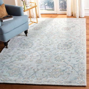Safavieh Heritage Rug Collection HG824B - Silver / Ivory