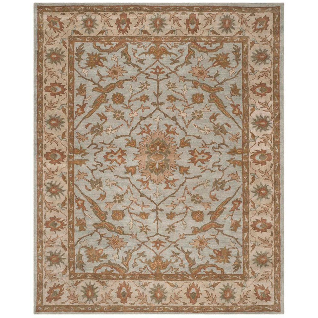 Safavieh Heritage Rug Collection HG937A - Light Blue / Ivory