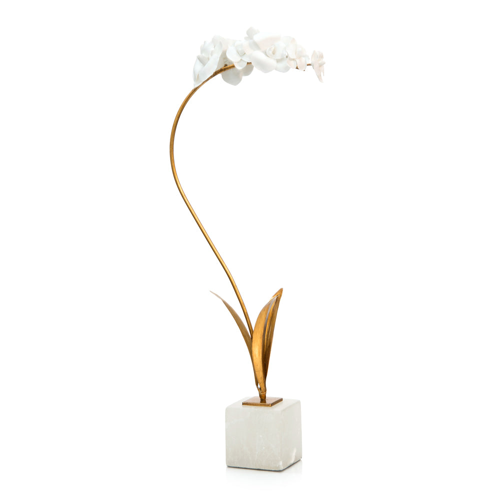Porcelain Orchid | John-Richard - JRA-10405
