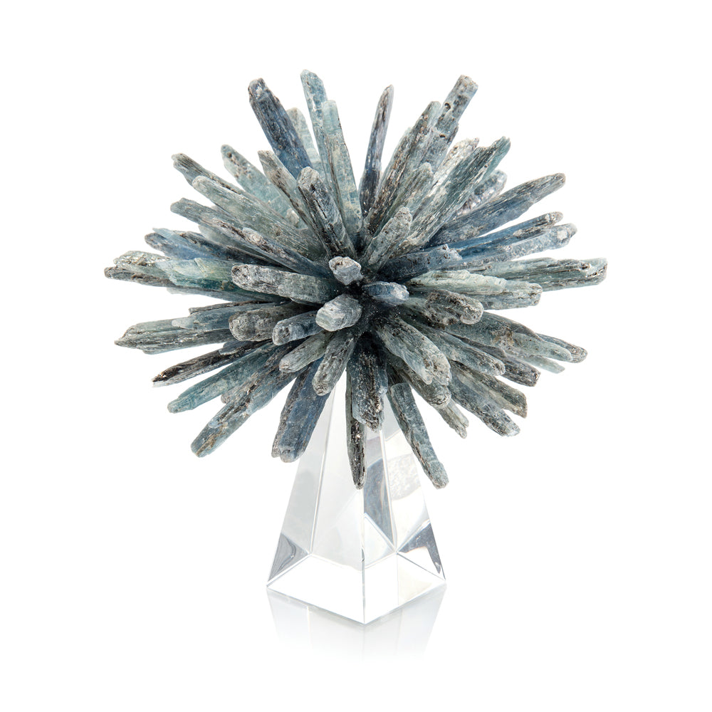 Kyanite Star On Crystal | John-Richard - JRA-10832