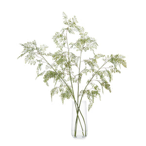 Aqua Fern | John-Richard - JRB-3622W