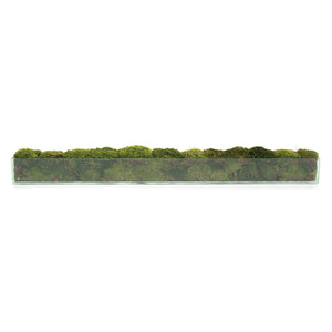 Moss Mounds | John-Richard - JRB-3701