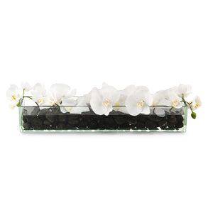 Domino | John-Richard - JRB-3947W