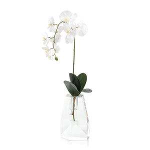 Crystal Orchid | John-Richard - JRB-4043W