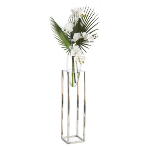 Palmetto Orchids | John-Richard - JRB-4158W