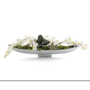 Drifting Orchids | John-Richard - JRB-4509