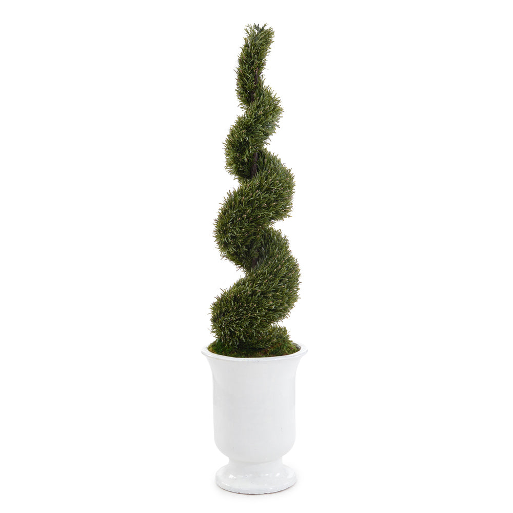 French Versia Topiary | John-Richard - JRB-4904