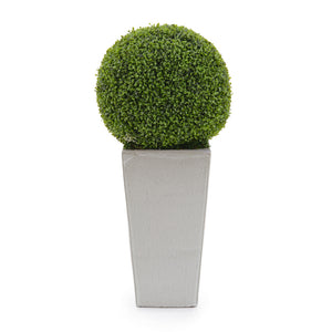 Boxwood Orb | John-Richard - JRB-4938