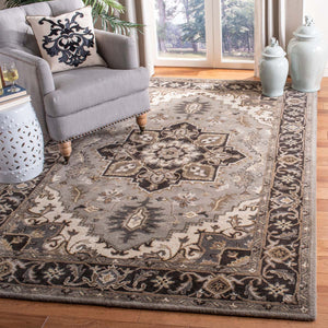 Safavieh Royalty Rug Collection ROY700G - Silver / Charcoal
