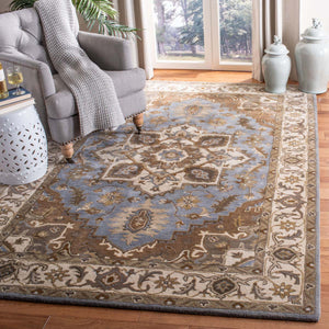 Safavieh Royalty Rug Collection ROY700M - Light Blue / Beige