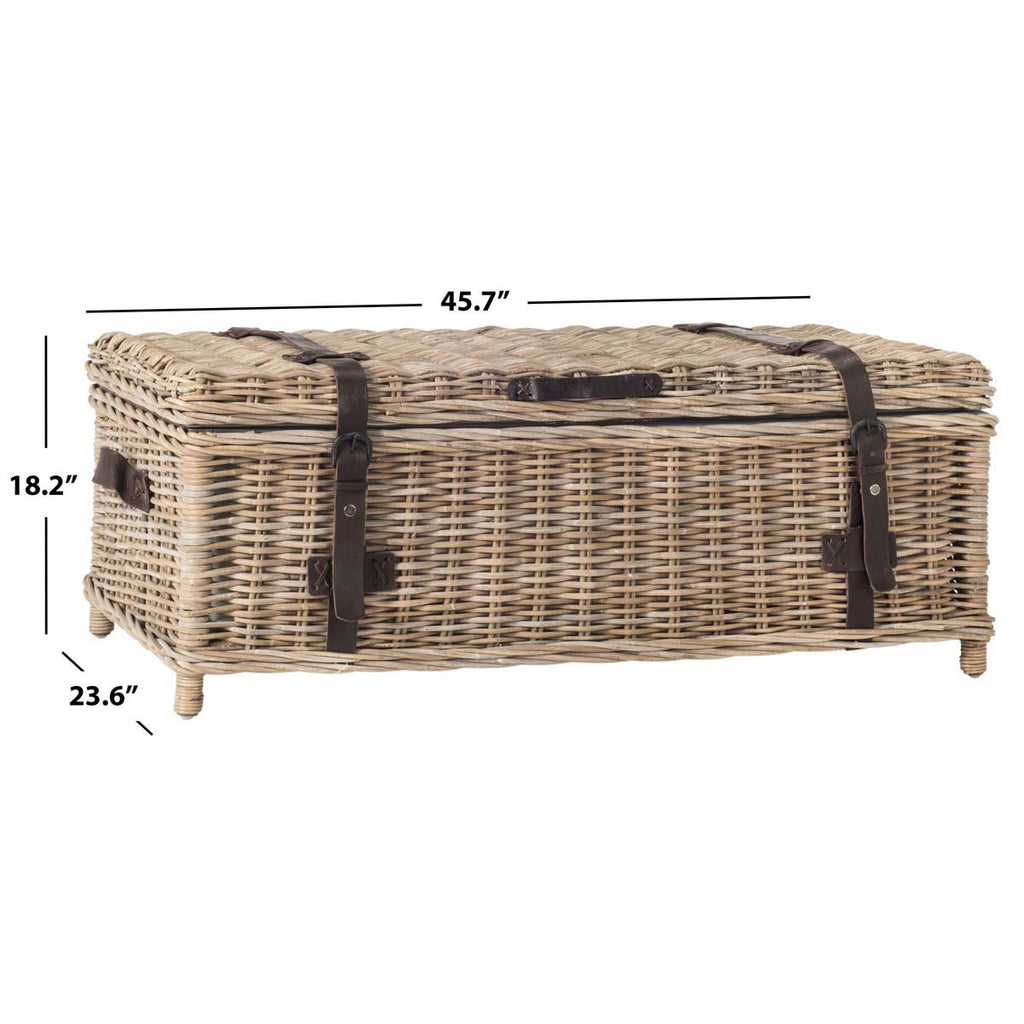 Safavieh Navarro Rattan Coffee Table Trunk - Grey