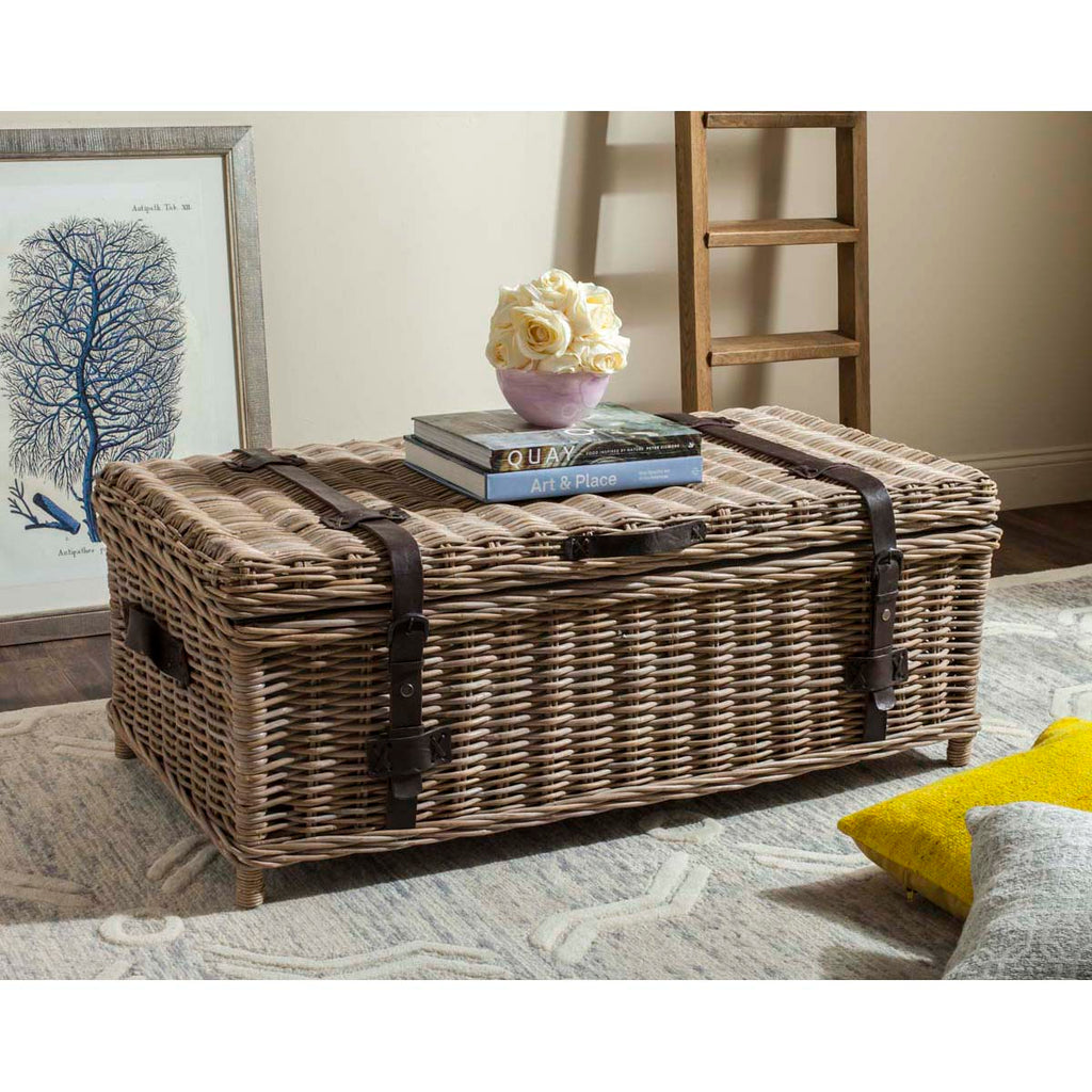 Safavieh Navarro Rattan Coffee Table Trunk - Grey