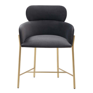 Charlize Upholstered Dining Chair | Safavieh Couture - SFV4757